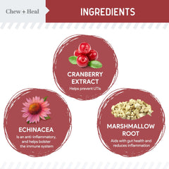 Chew + Heal Labs: ingredientes naturales para apoyo urinario y inmunidad del perro