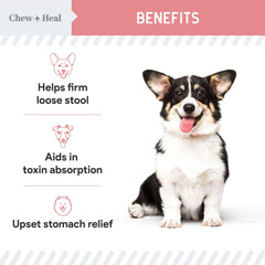 Etiqueta clara y profesional de Chew + Heal Labs para uso seguro.
