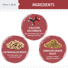Chew + Heal Labs cranberry, ingredientes visibles para bienestar urinario.