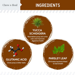 Frasco No Poo Chews Chew + Heal Labs, dispensador práctico para dosis diarias.