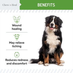 Chew + Heal Labs spray para piel sensible de perros, cuidado diario