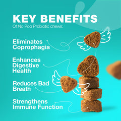 CHEWIA Enzimas Digestivas, masticables para soporte digestivo canino
