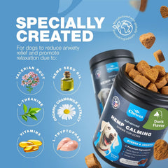 CHEWIA vitamina B favorece el equilibrio emocional en momentos estresantes.