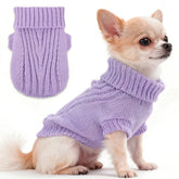 Chihuahua suéter púrpura XXS, cálido y cómodo para paseos fríos.