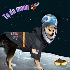ChoChoCho NASA cierre gancho y bucle para colocación rápida.