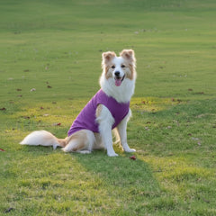 Chol&Vivi camiseta rojo-rosado para perros, diseño ligero para actividades diarias.