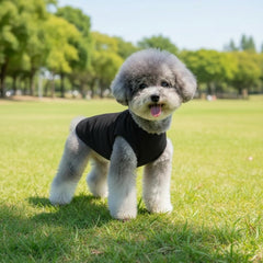 Camiseta Chol&Vivi para perro blanco: diseño ligero ideal para climas cálidos.