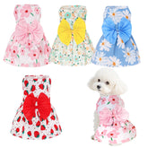 Vestido para perro de Choyaxo: conjunto de 4 piezas, ideal para salidas diarias.