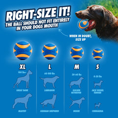 Chuckit! Ultra Squeaker, bola de goma duradera y suave para la boca.