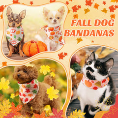 Chunful Bandanas Diseños otoño variados para combinaciones y looks únicos