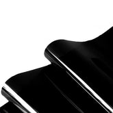 CICK SEED fondo negro acuario con adhesión estática para colores más vivos
