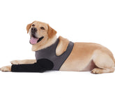 Cilkus manga recuperación para perro, frente de la pata, protección de heridas en paseos.