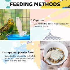 Abrazadera de comida para aves Cindeer, mantiene la comida segura y accesible