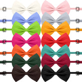 Lazo para perro Cindeer ajustable en azul; ideal para salidas diarias y eventos.