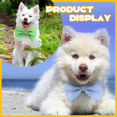 Lazo para perro Cindeer ajustable en blanco; combina con cualquier atuendo diario.