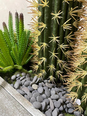 CJGQ piedras para plantas suculentas con buen drenaje