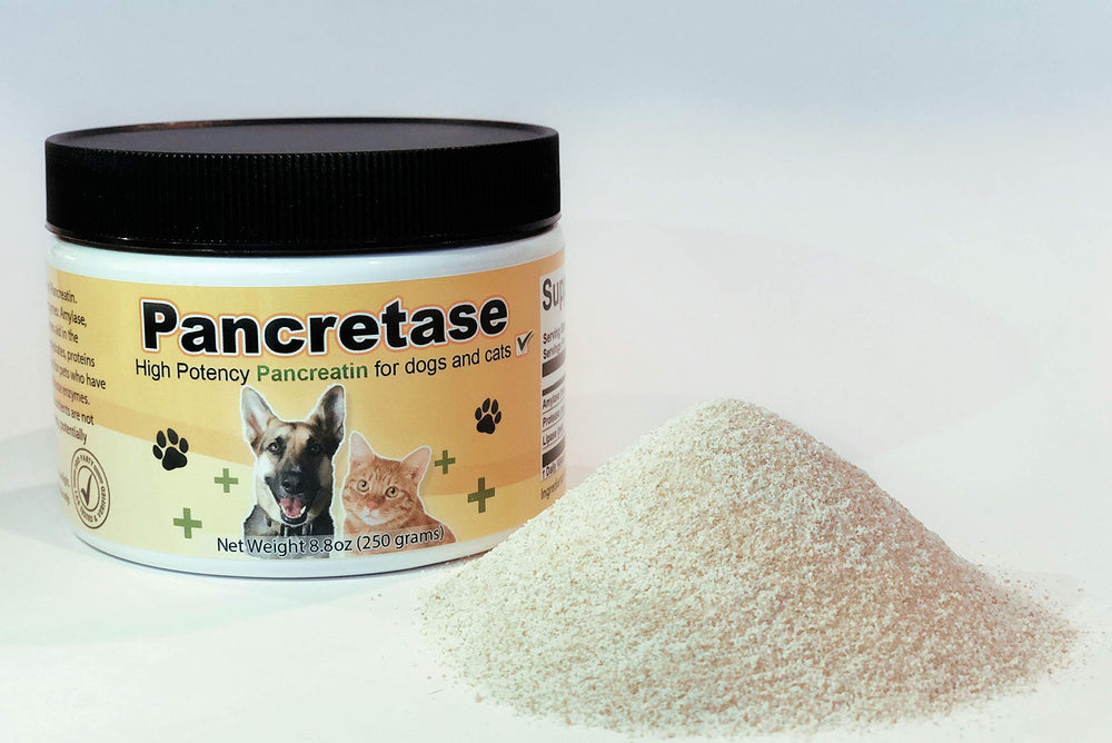 CK Formulations Pancretase, botella digestiva para perros y gatos, ayuda a la digestión de grasas.