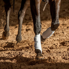 Classic Equine AirWave protector frontal blanco mediano, perforado para disipar calor