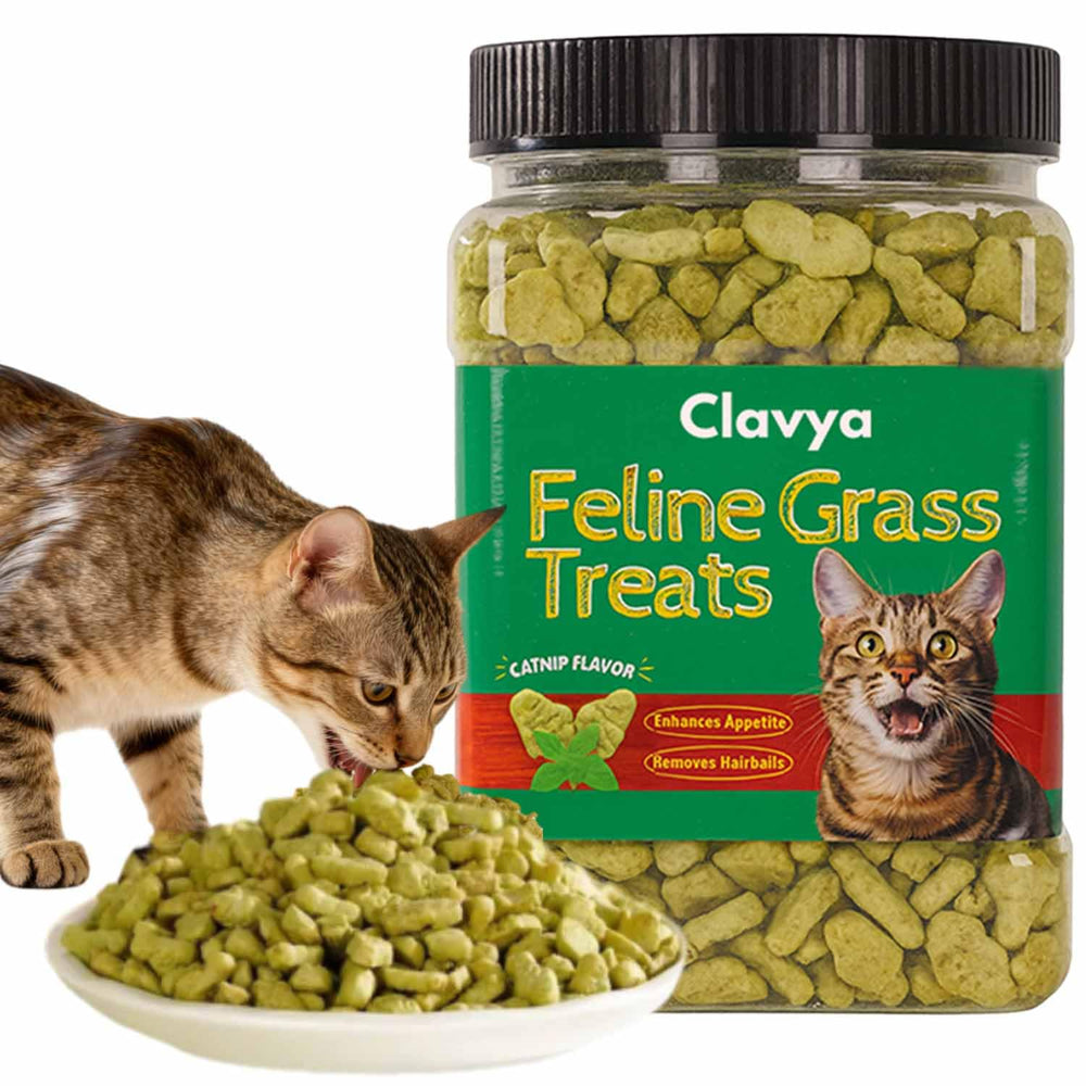 Clavya Gatos Hierba de interior Tarro crujiente: recompensa diaria para gatos