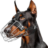 CleverTail mordaza metálica para doberman con ajuste perfecto.