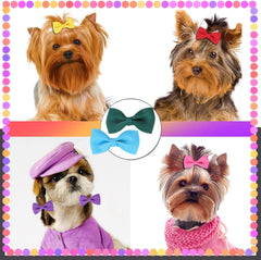 Clipband clips antideslizantes muestran agarre suave para pelaje sin resbalar durante juego.