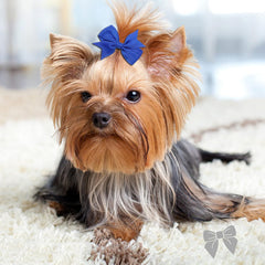 Clipband clip antideslizante para perros que mantiene el lazo en su sitio.