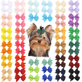 Clipband lazo para cachorro rojo de 2,2 pulgadas, ideal para paseos.