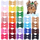 Clipband: paquete de lazos para perros de 2 pulgadas en azul, ideal para combinar atuendos.