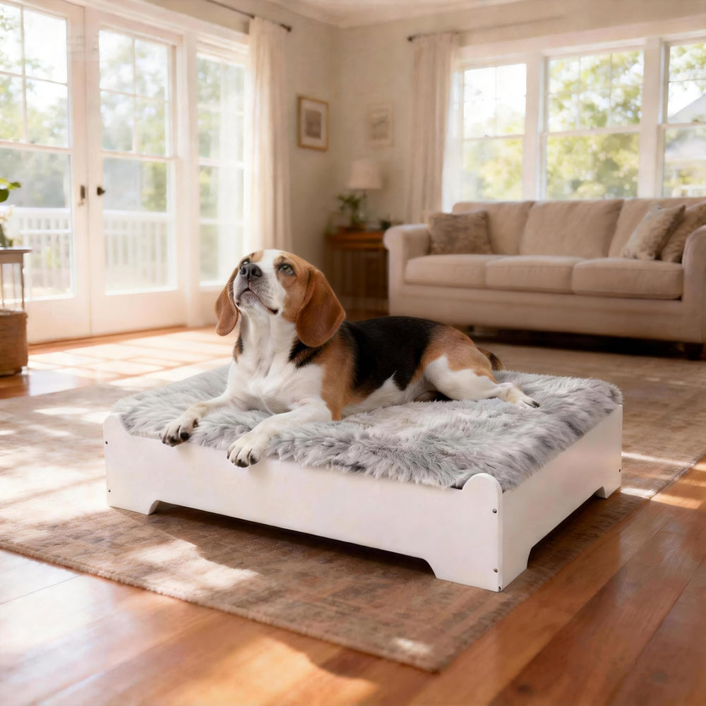 CLOUDBERG Cama perro elevada con base de madera blanca para mayor confort y ventilación.