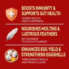 Cluck Chirp, snack natural para aves, apoyo diario a plumas brillantes y digestión suave.