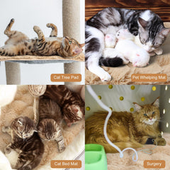 Clysee cama para gatos auto calentante, acolchado suave y resistente