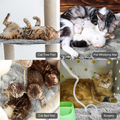 Clysee Cama Gato Funda Peluche Suave Gris aporta confort diario.
