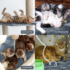 Clysee Cama Gato Tejido Plush suave para mayor confort