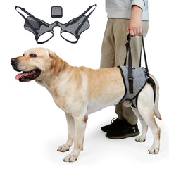 Arnés elevación Cneo para perros con diseño cómodo y transpirable para caminatas