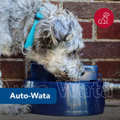Coastal Auto-Wata: sistema autorregulante que asegura agua cuando se necesita.