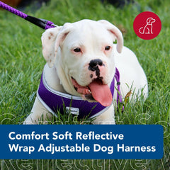 Arnés Coastal Pet Comfort con borde reflectante para mayor visibilidad.