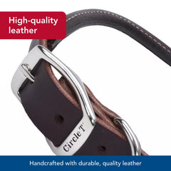 Coastal Pet Circle T Latigo Collar: diseño redondo ideal para pelo largo.