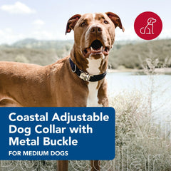 Collar Coastal para perros con ajuste fácil para comodidad diaria.