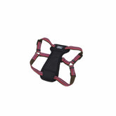 Coastal Pet K9 Explorer: arnés reflectante para caminatas más seguras.