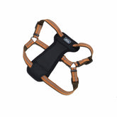Coastal Pet K9 Explorer: correa reflectante ajustable para paseos nocturnos.