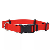 Coastal SecureAway protector de collar para pulgas, vista frontal, protege la inversión