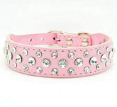 collar de perro con piedras, cristales brillantes, para paseos con estilo.