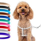 CollarDirect arnés de cuero enrollado para perro pequeño, enfoque en comodidad.