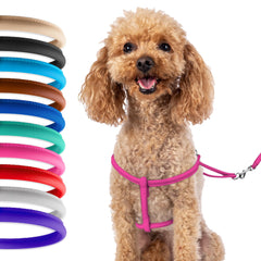 CollarDirect arnés enrollado de cuero para perro pequeño, cómodo en paseos