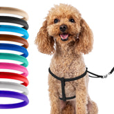 CollarDirect arnés de cuero enrollado para perros pequeños, cómodo y fácil de colocar.