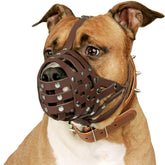 CollarDirect bozal de cesta de cuero marrón para Pitbull, ideal para paseos seguros.