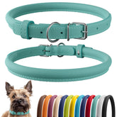 CollarDirect: collar de cuero enrollado para perros pequeños, suave y ligero.