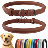CollarDirect: collar de cuero enrollado suave para perros, cómodo y anti-enredos.