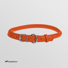 CollarDirect collar de cuero enrollado 11-14 pulgadas, talla ideal para perros medianos.