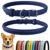 CollarDirect collar enrollado para perro, ligero y cómodo para uso diario.